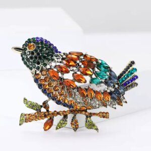 Large Multicolor Bird Brooch
